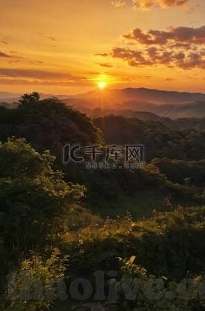 006足球即时比分-006足球即时比分，绿茵场上的心跳同步器