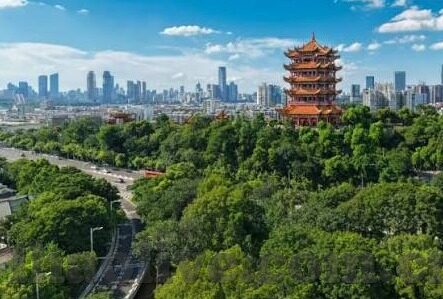 188足球比分网-188足球比分网，足球迷的实时数据港湾与赛事分析利器
