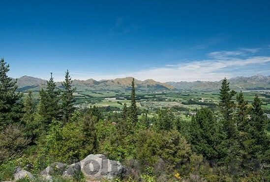 m足球比分直播-M足球比分直播，实时掌握绿茵风云，畅享足球激情盛宴