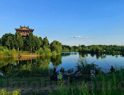 体球网足球比分直播-体球网足球比分直播，球迷的实时战场，激情与数据的完美交融