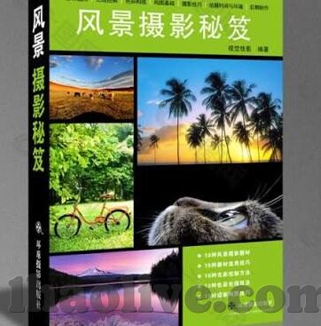 新浪竟彩足球比分直播-新浪竞彩足球比分直播，球迷的实时赛场伴侣