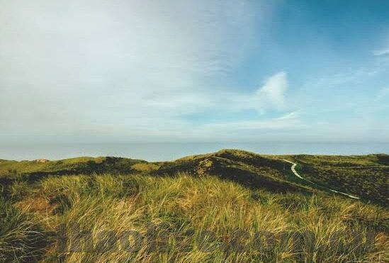 足球比分90vs皇冠比分直播-足球比分90vs皇冠比分直播，一场数字与激情的实时碰撞