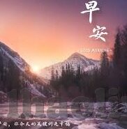足球比分单推-足球比分单推，从数据迷雾中寻找胜利密码的终极指南