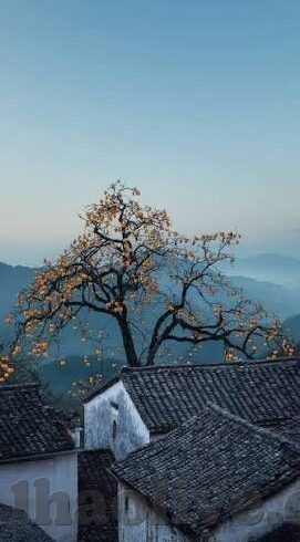 足球比分球队排名-足球比分背后的球队排名玄机，数据解读与趋势分析