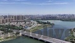 足球比分球探探-足球比分球探探，绿茵场的数字密码与情报先锋