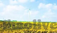 足球比分让平负-足球比分中的让平负，策略、风险与实战解析