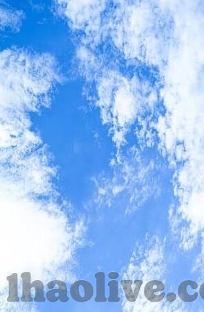 足球比分什么意思-从数字密码到绿茵故事，足球比分背后的竞技逻辑与情感密码