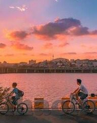 足球比分直播滚球-足球比分直播滚球，实时竞技的激情与策略交响曲